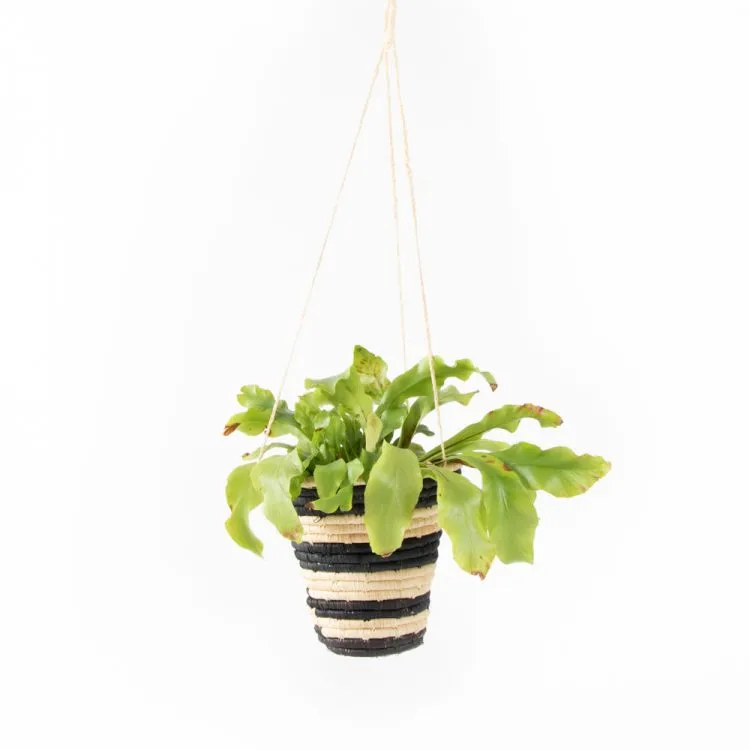 Trade Aid Striped Hanging Basket 25.03.145